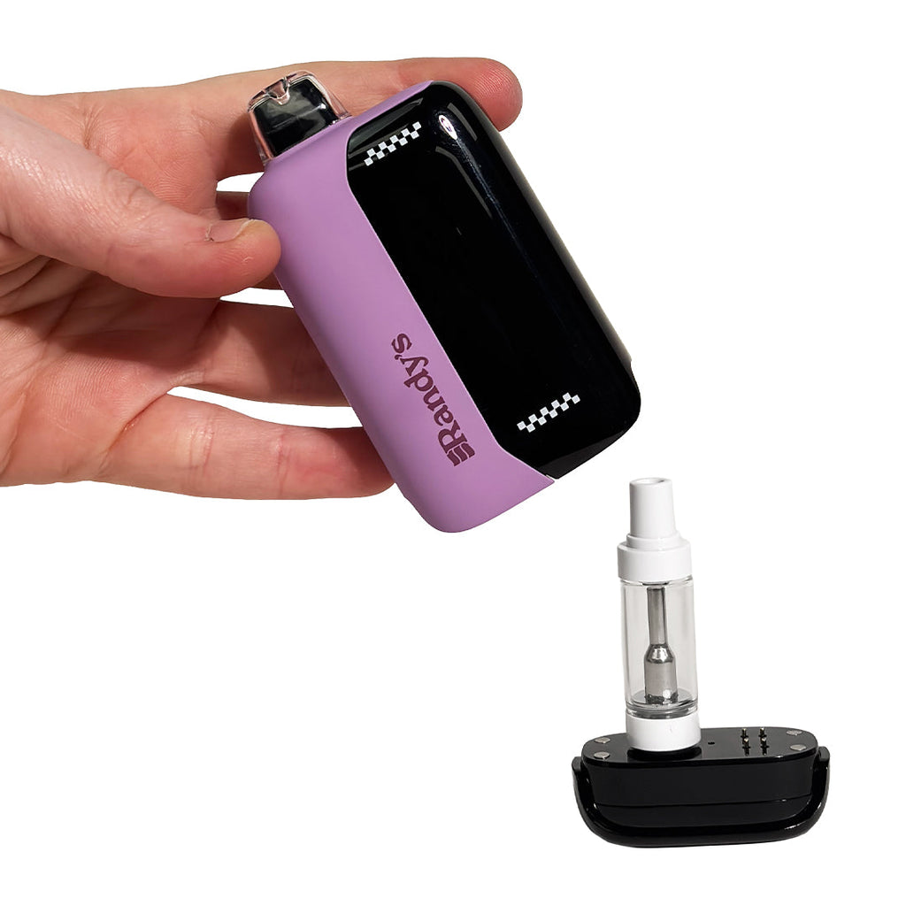 Randy's Inspo MAX Vaporizer