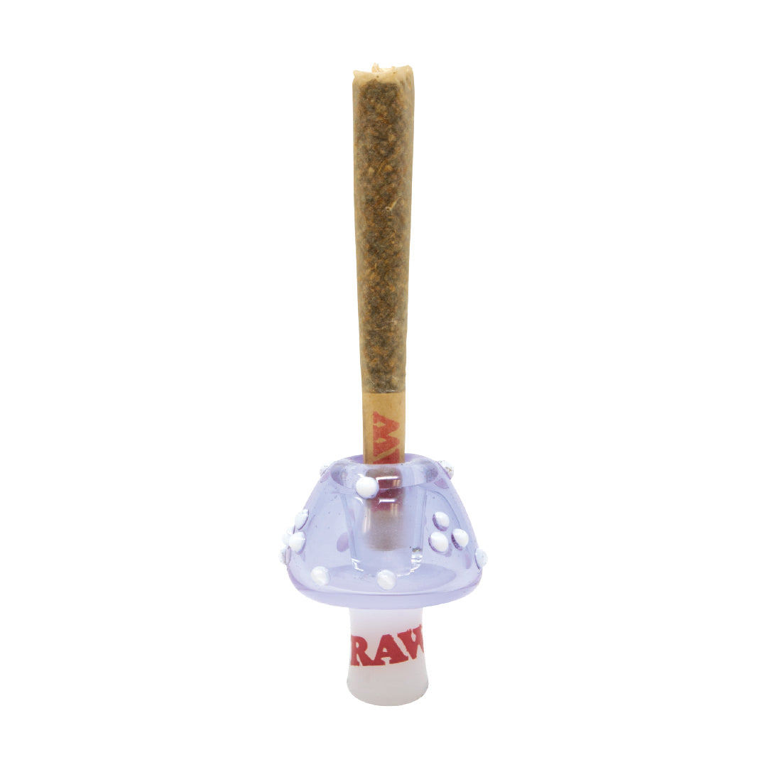 RAW Glass Cone Holders